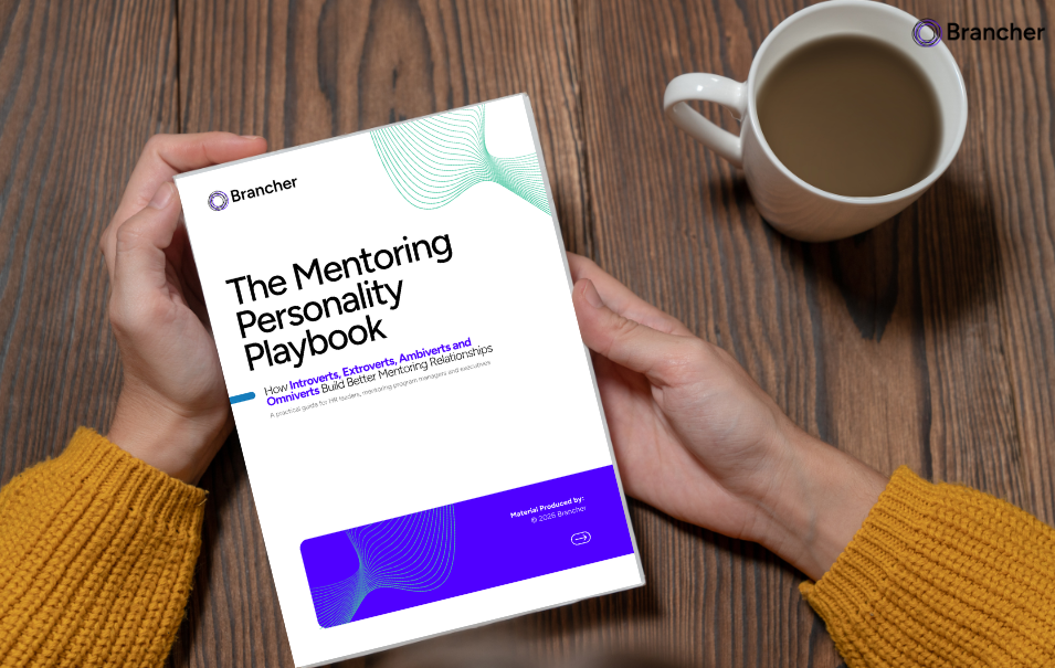 The Mentoring Personality Playbook cover