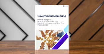 government mentoring white paper 