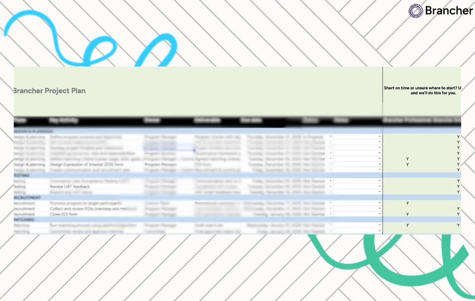 mentoring project plan